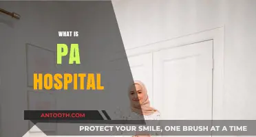 Understanding PA Hospital: Services, Location, and Patient Care Essentials