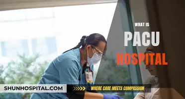 Understanding Pacu Hospital: Post-Anesthesia Care Unit Explained