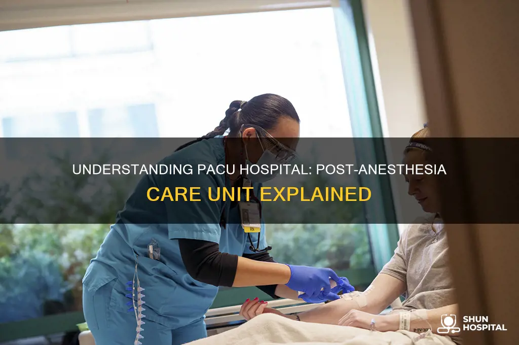 what is pacu hospital