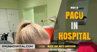 Understanding PACU: Post-Anesthesia Care Unit in Hospitals Explained