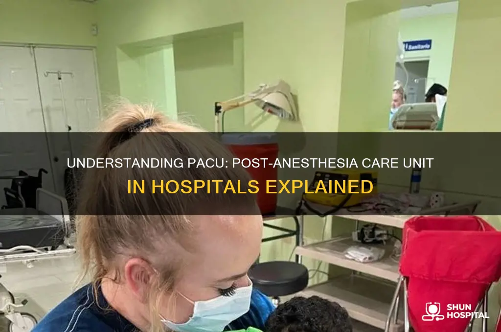 what is pacu in hospital