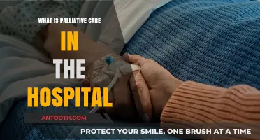 Palliative Care: Hospital Support for Quality of Life