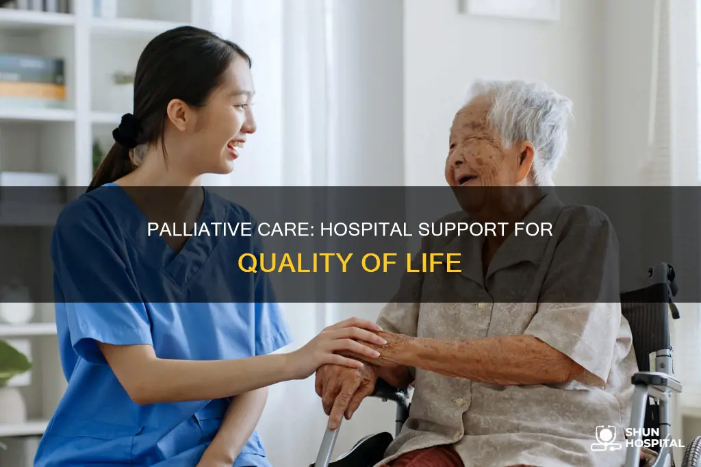 what is palliative care in the hospital