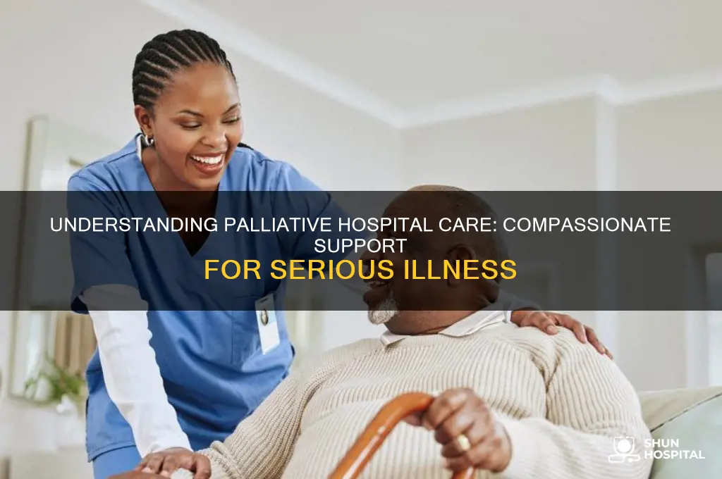 what is palliative hospital care