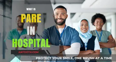 Understanding Pare: A Hospital's Essential Patient Assessment and Reporting Tool