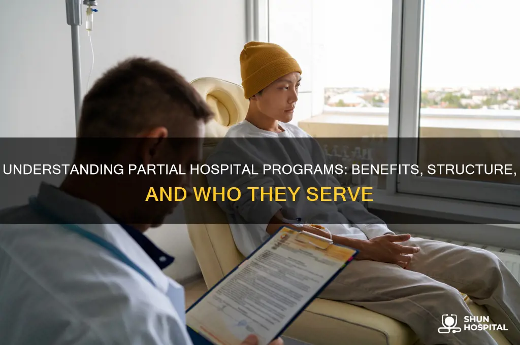 what is partial hospital program