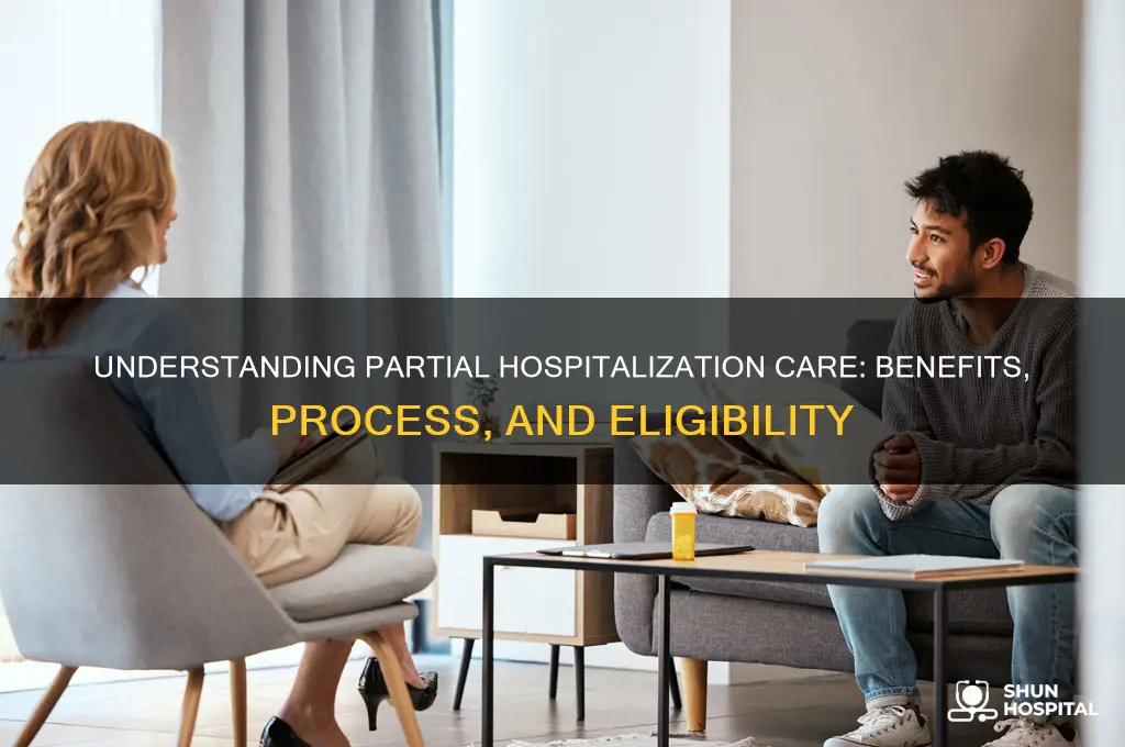 what is partial hospitalization care