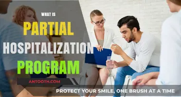 Understanding Partial Hospitalization Programs: Intensive Care Without Overnight Stays