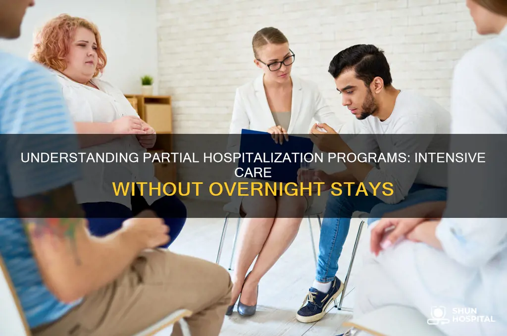 what is partial hospitalization program