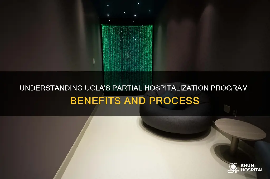 what is partial hospitalization ucla
