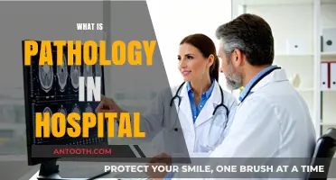 Understanding Pathology: Essential Role in Hospital Diagnostics and Patient Care
