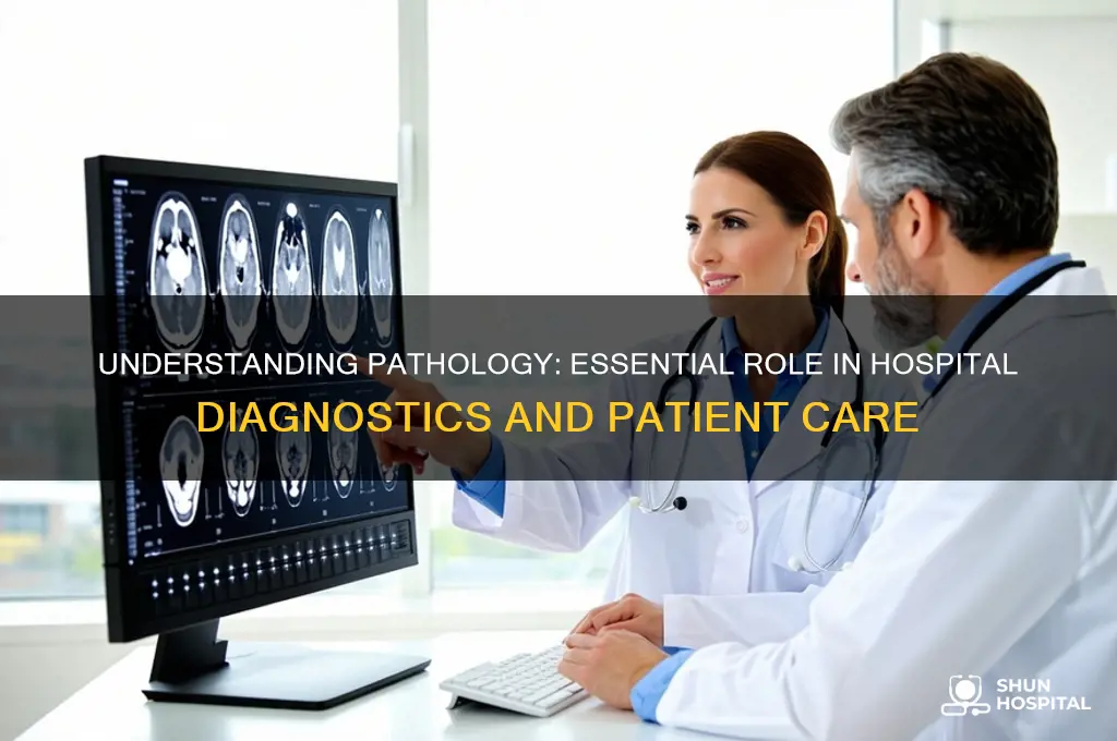 what is pathology in hospital