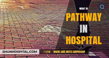 Understanding Hospital Pathways: Streamlining Patient Care and Treatment Processes