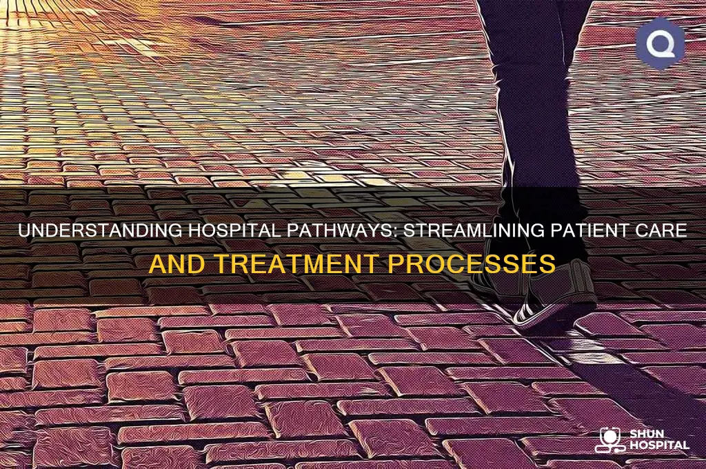what is pathway in hospital
