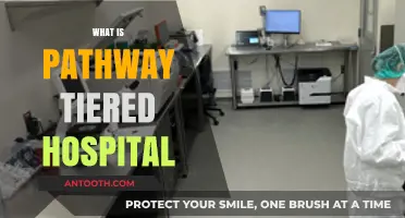 Understanding Pathway Tiered Hospitals: A Comprehensive Healthcare Delivery Model