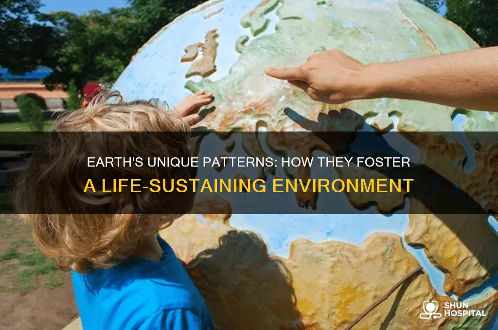 what is patterns on earth make it hospitable to life
