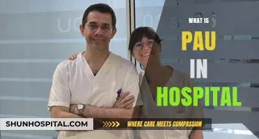 Understanding PAU in Hospitals: Purpose, Functions, and Patient Care
