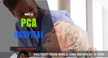 Understanding PCA Hospital: Services, Care, and Patient-Centered Approach Explained