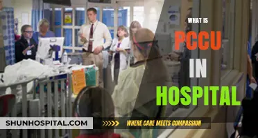 Understanding PCCU: Purpose, Role, and Importance in Hospital Care