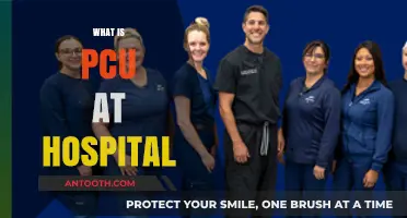 Understanding PCU: A Comprehensive Guide to Progressive Care Units in Hospitals