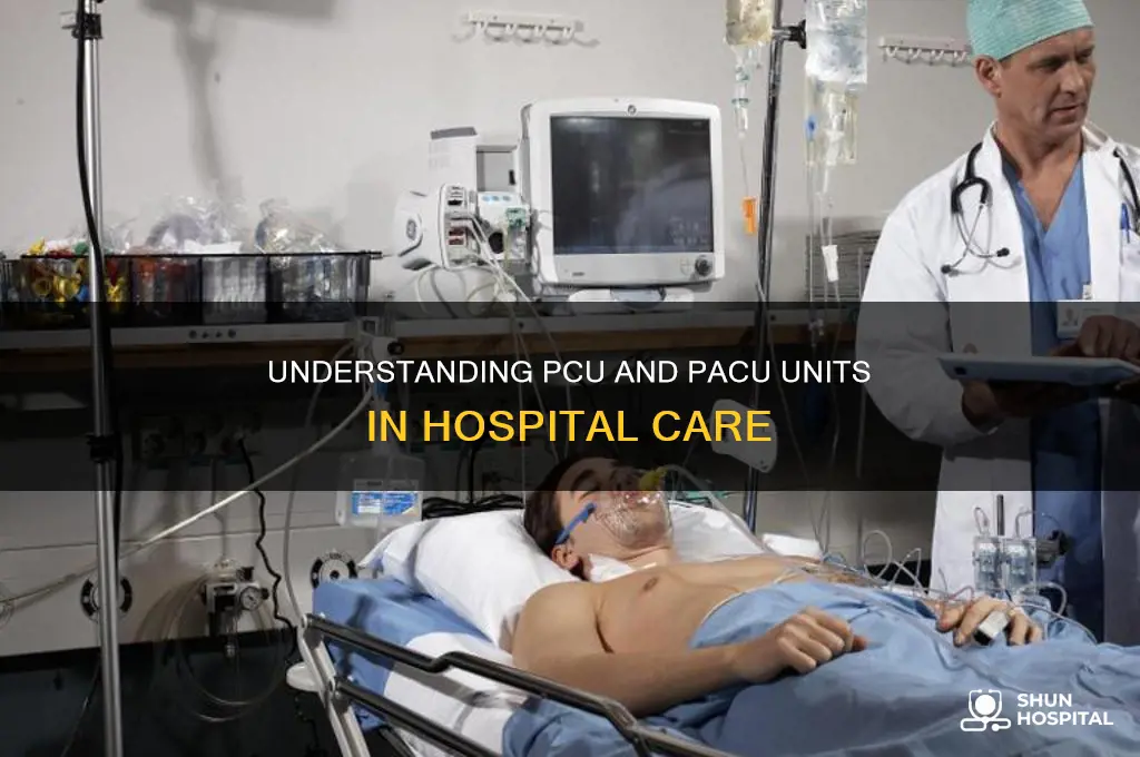 what is pcu unit and pacu unit in hospital