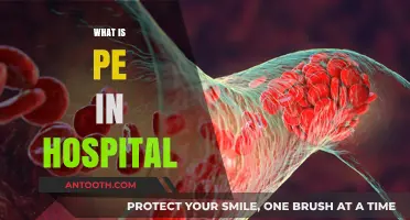 Understanding PE in Hospitals: Causes, Symptoms, and Treatment Explained