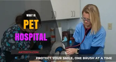 Understanding Pet Hospitals: Comprehensive Care for Your Furry Friends