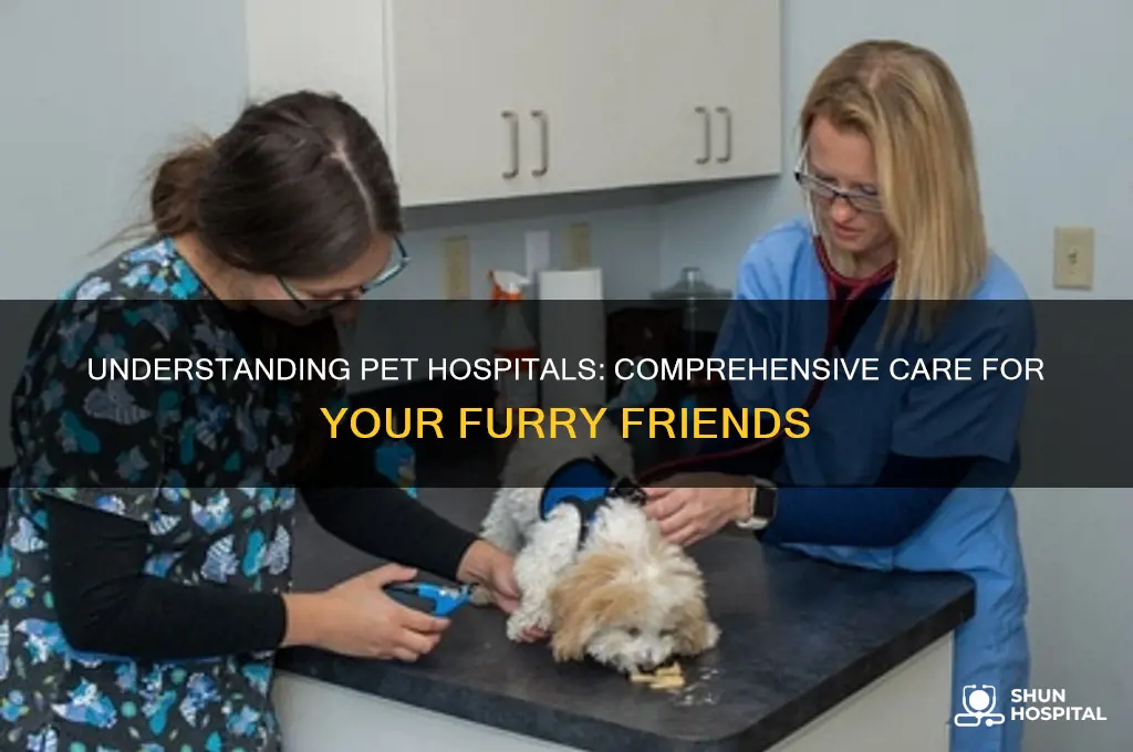 what is pet hospital
