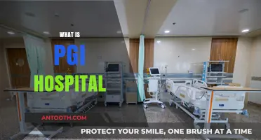 Understanding PGI Hospital: Services, History, and Patient Care Explained