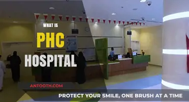Understanding Primary Health Care: What is a PHC Hospital?