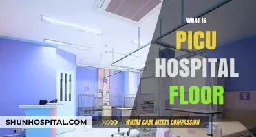 Exploring the PICU: A Guide to the Pediatric Intensive Care Unit Hospital Floor