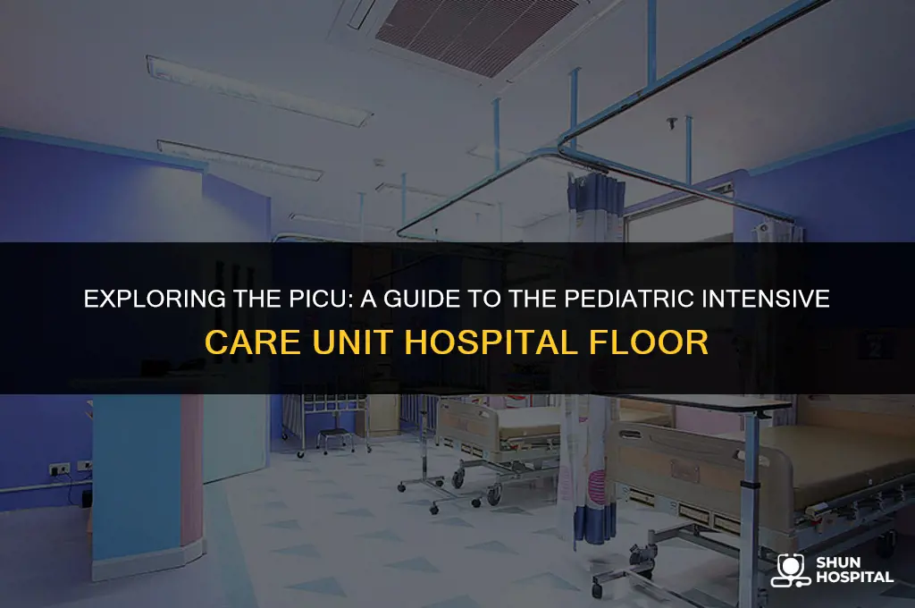 what is picu hospital floor