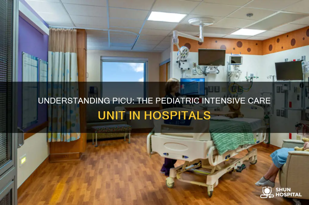 what is picu in hospital