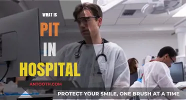 Understanding the Role of a PIT in Modern Hospitals