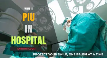 Understanding PIU in Hospitals: A Comprehensive Guide