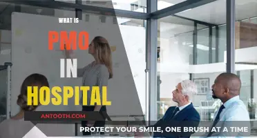 Understanding the Role of a PMO in Hospital Operations