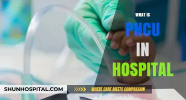 Understanding PNICU: A Guide to Pediatric Neurological Care Units