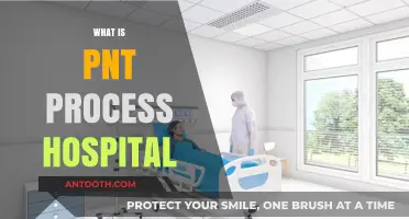 Understanding the PNT Process in Hospitals: A Comprehensive Guide