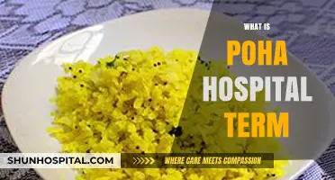 Understanding Poha: A Comprehensive Guide to the Hospital Term