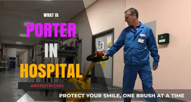 Understanding the Role of a Porter in a Hospital Setting