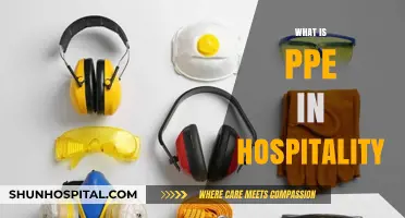 Understanding PPE in Hospitality: A Guide for Industry Professionals