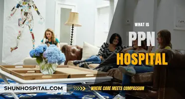 Understanding PPN Hospitals: A Comprehensive Guide to Private Psychiatric Care