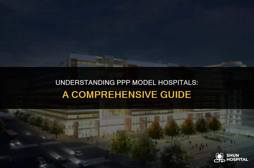 what is ppp model hospital