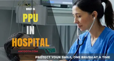 Understanding PPU in Hospitals: A Comprehensive Guide