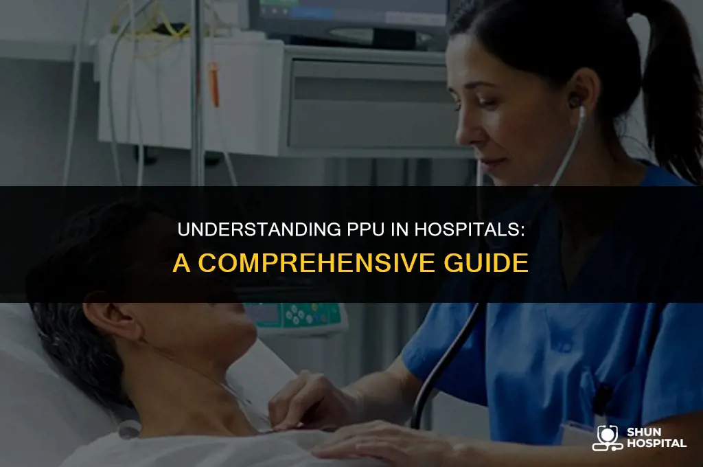 what is ppu in hospital