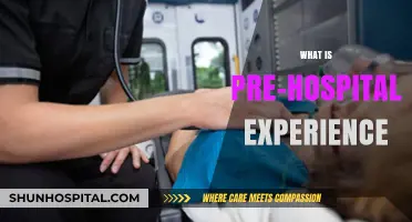 Exploring the Crucial Role of Pre-Hospital Care Experience