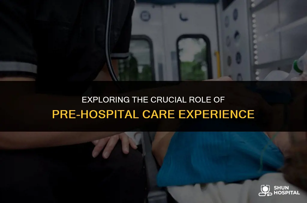 what is pre-hospital experience