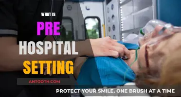 Understanding Pre-Hospital Care: A Comprehensive Guide