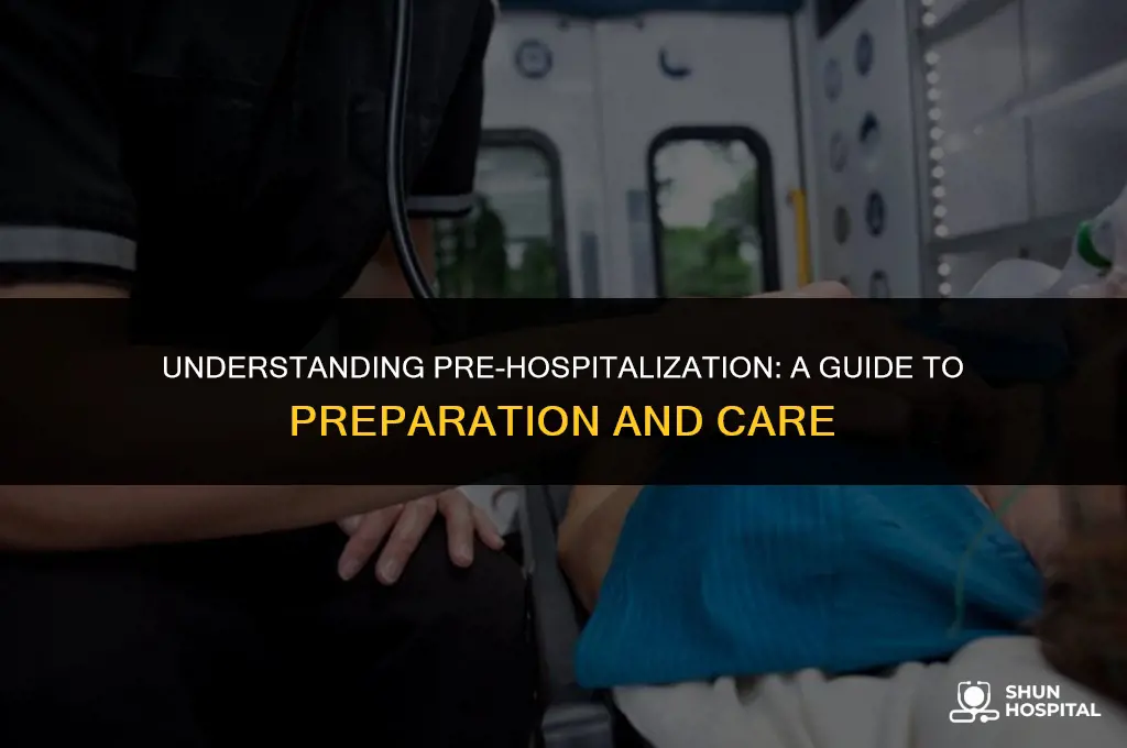 what is pre hospitalization