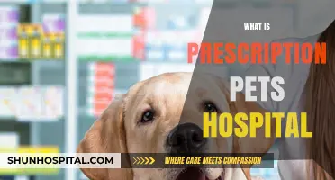 Exploring Prescription Pet Hospitals: A Comprehensive Guide for Pet Owners